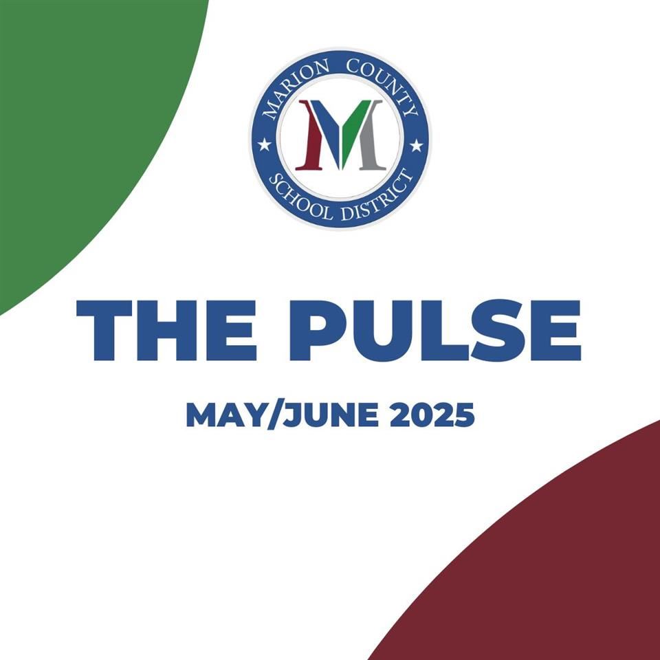  The Pulse